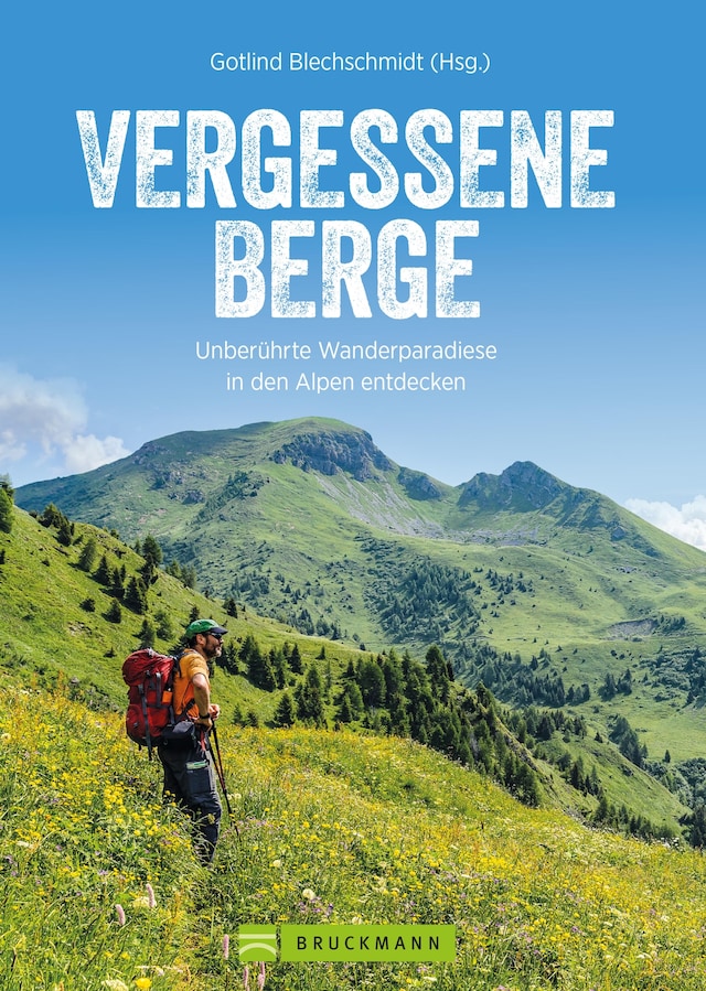 Book cover for Vergessene Berge