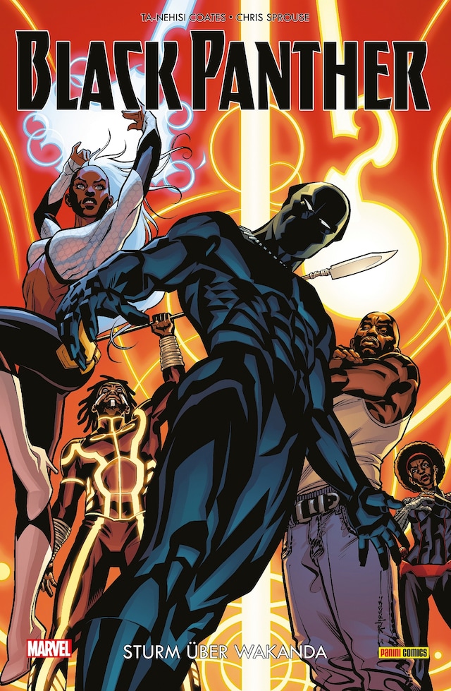 Kirjankansi teokselle Black Panther 2 -Sturm über Wakanda