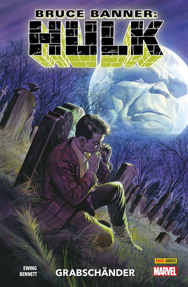 Book cover for Bruce Banner: Hulk, Band 4 - Grabschänder