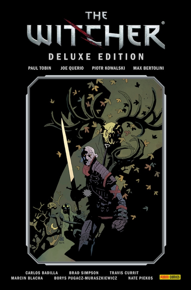Buchcover für The Witcher Deluxe-Edition, Band 1