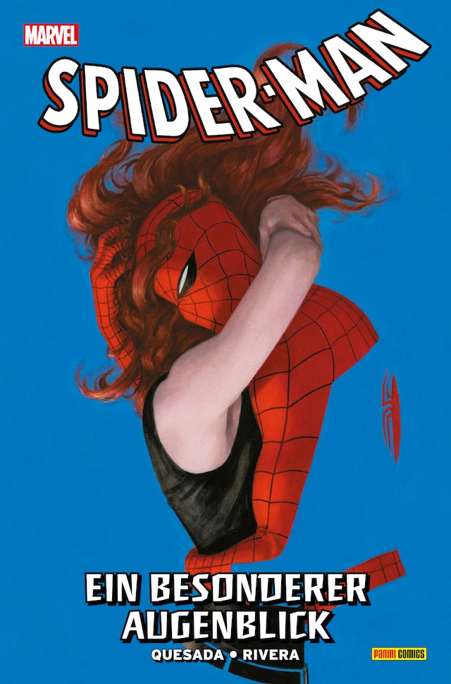 Book cover for SPIDER-MAN - Ein Besonderer Augenblick