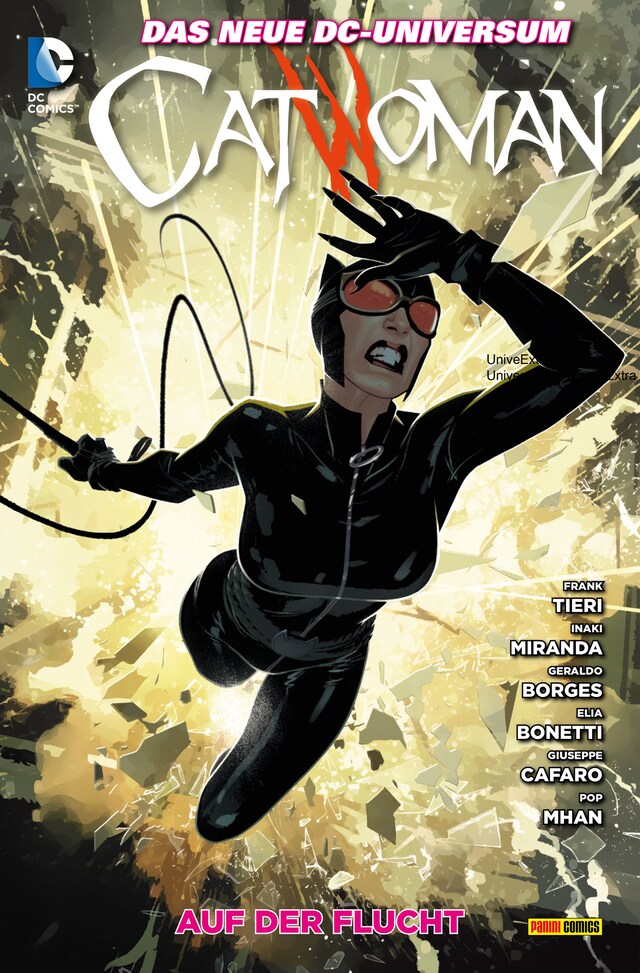 Book cover for Catwoman: Bd. 9: Auf der Flucht