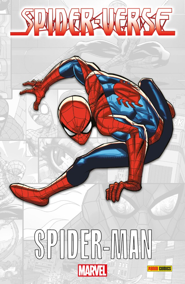 SPIDER-VERSE: SPIDER-MAN Okładka książki dla SPIDER-VERSE: SPIDER-MAN