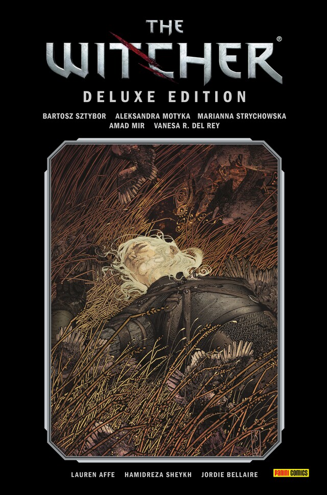 Book cover for The Witcher Deluxe-Edition, Band 2