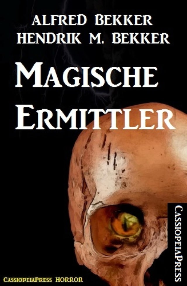 Book cover for Magische Ermittler