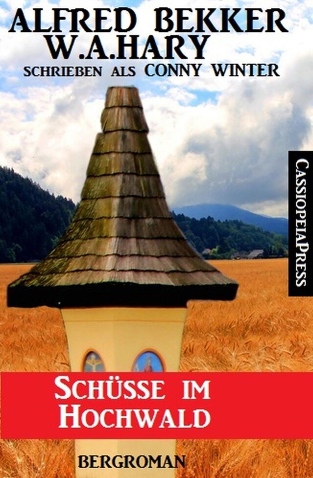 Bogomslag for Schüsse im Hochwald: Bergroman