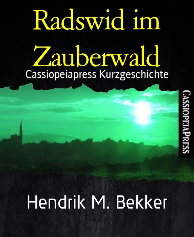 Buchcover für Radswid im Zauberwald