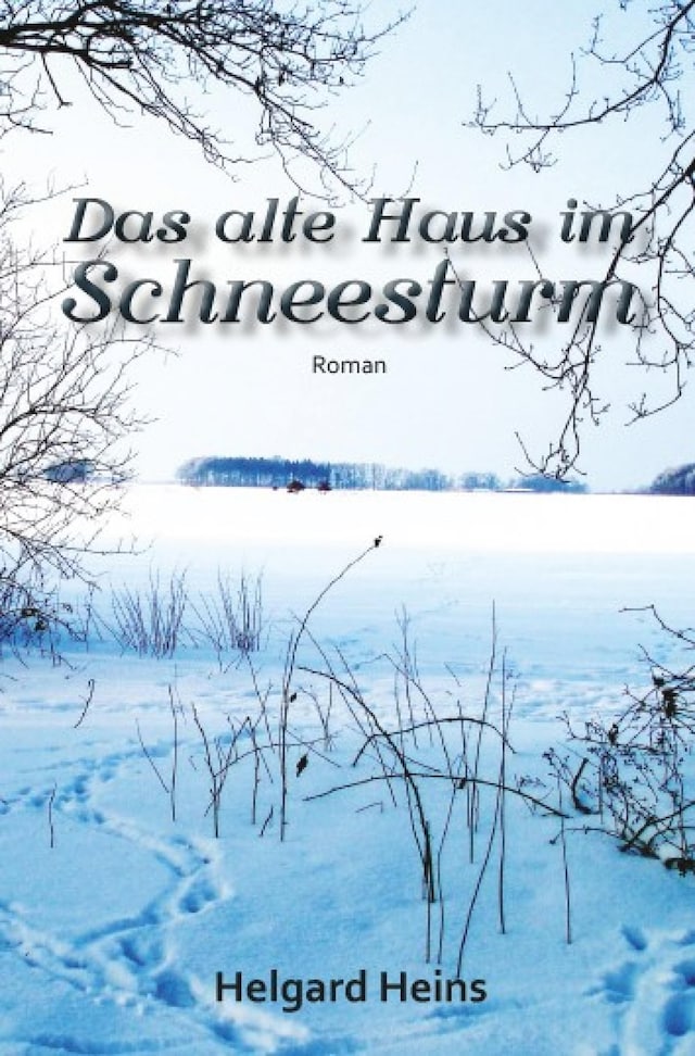 Okładka książki dla Das alte Haus im Schneesturm