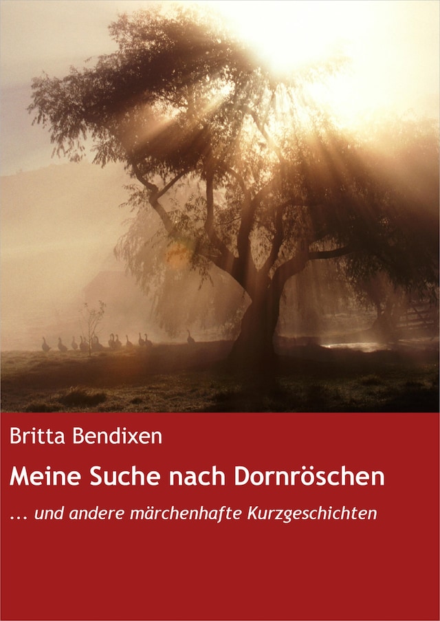 Book cover for Meine Suche nach Dornröschen