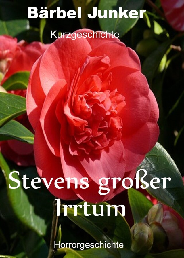 Buchcover für Stevens großer Irrtum