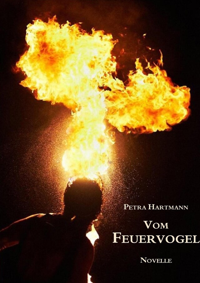 Portada de libro para Vom Feuervogel