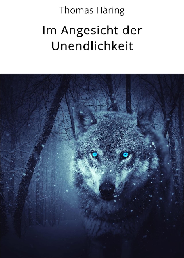 Couverture de livre pour Im Angesicht der Unendlichkeit