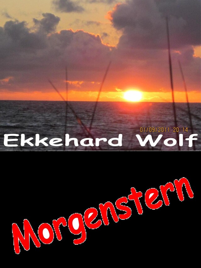 Buchcover für Morgenstern