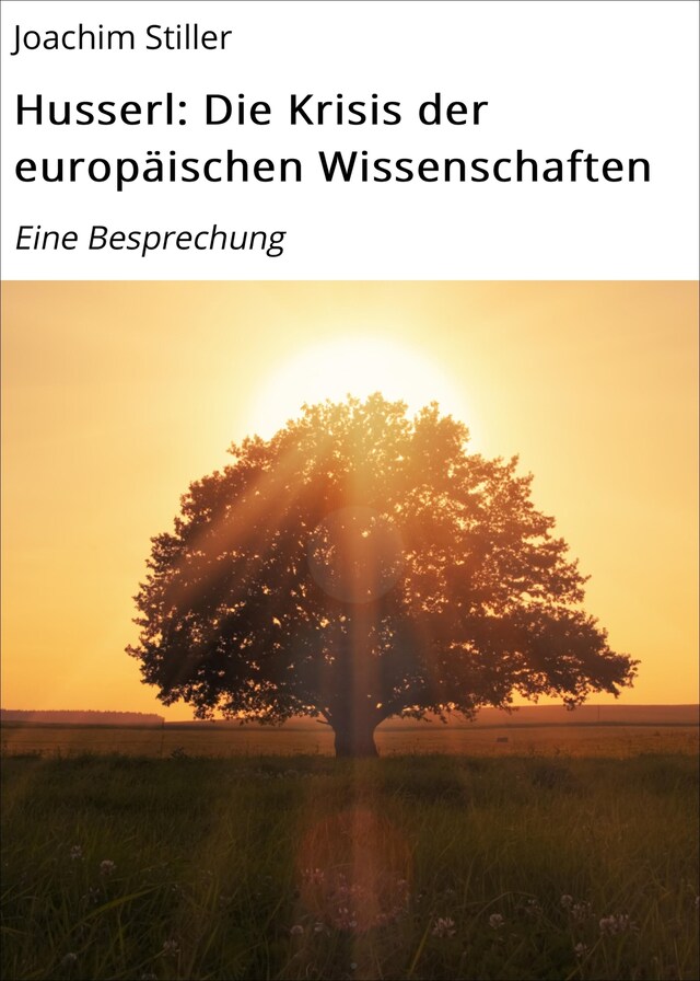 Copertina del libro per Husserl: Die Krisis der europäischen Wissenschaften