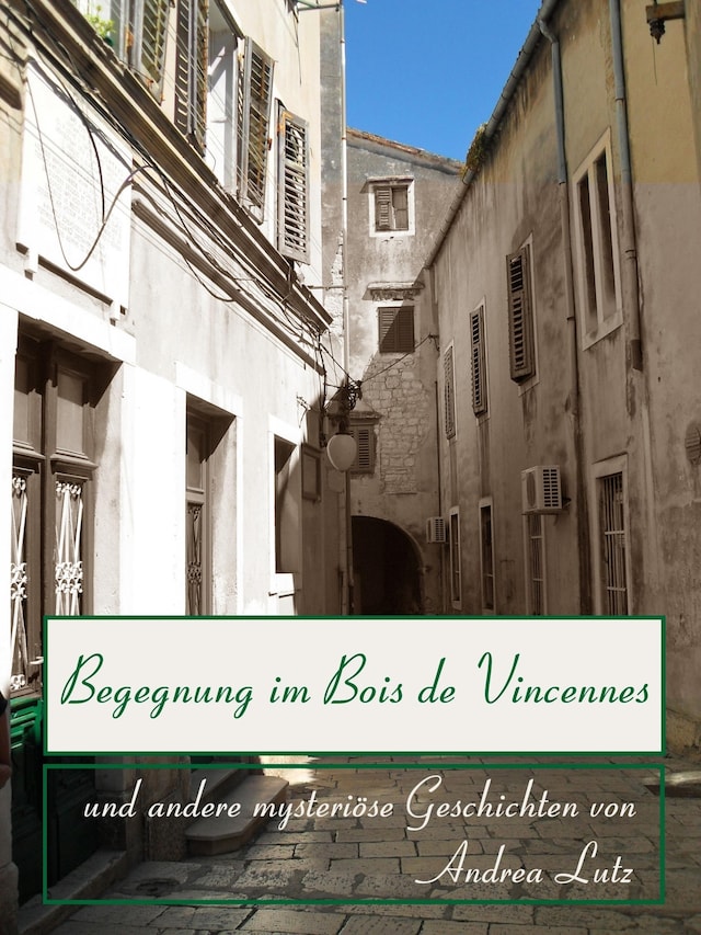 Book cover for Begegnung im Bois de Vincennes
