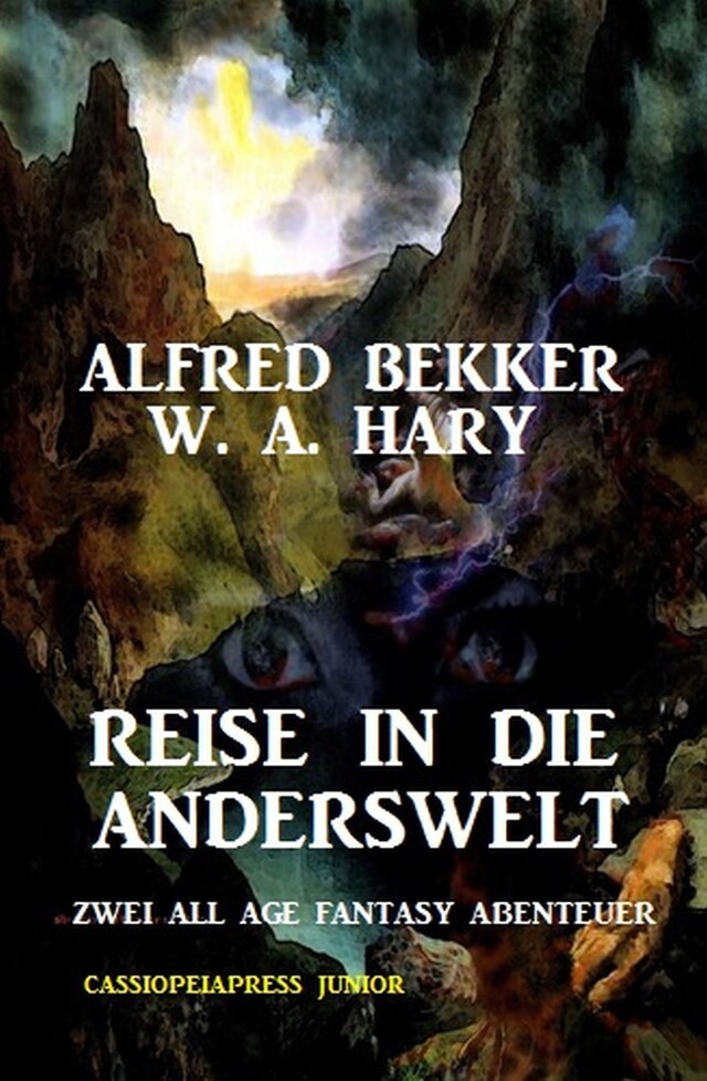 Couverture de livre pour Reise in die Anderswelt