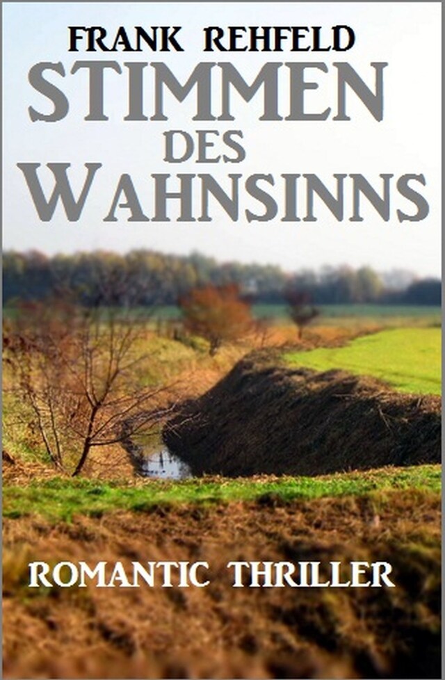 Book cover for Stimmen des Wahnsinns