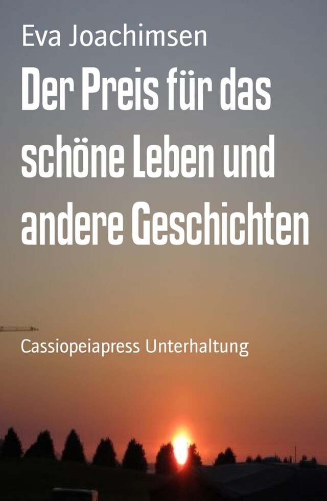 Book cover for Der Preis für das schöne Leben und andere Geschichten