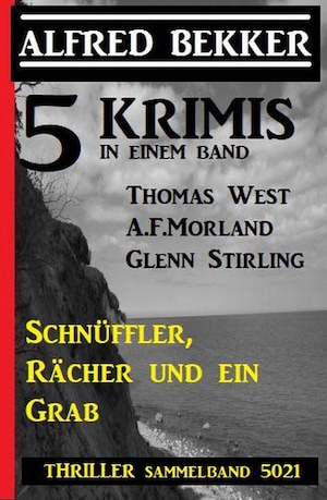 5 Krimis: Schnüffler, Rächer und ein Grab - Thriller Sammelband 5021 bookCoverFor