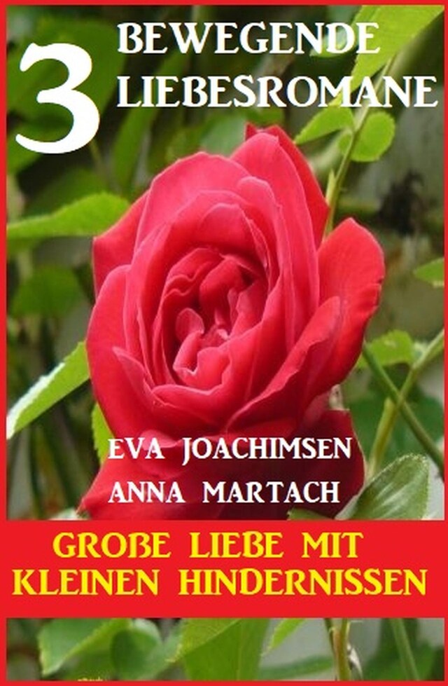 Book cover for Große Liebe mit kleinen Hindernissen: 3 bewegende Romane