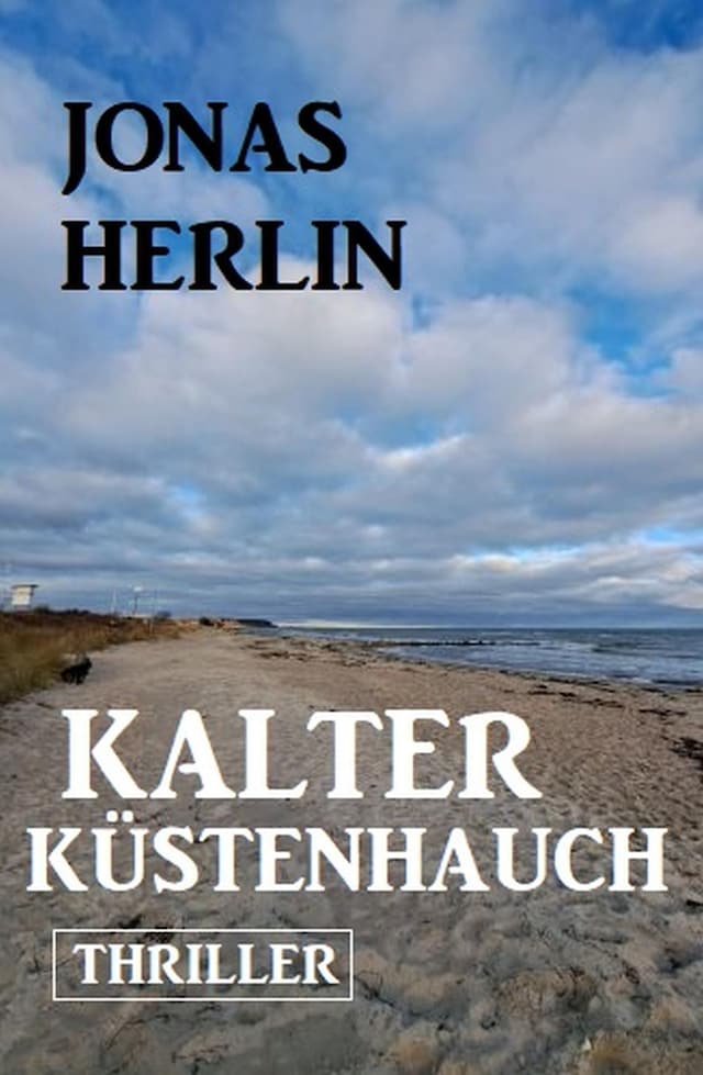 Book cover for Kalter Küstenhauch: Thriller