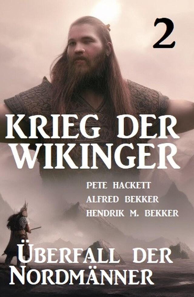 Book cover for Krieg der Wikinger 2: Überfall der Nordmänner