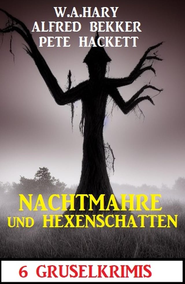 Okładka książki dla Nachtmahre und Hexenschatten: 6 Gruselkrimis