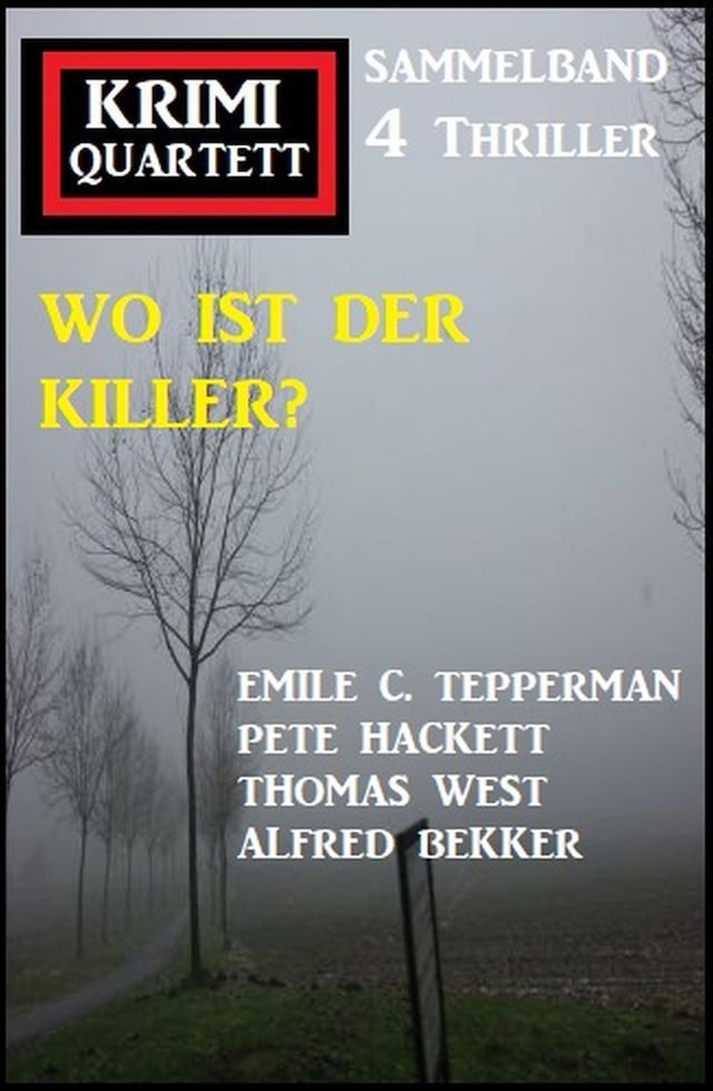 Book cover for Wo ist der Killer? Krimi Quartett Sammelband 4 Romane