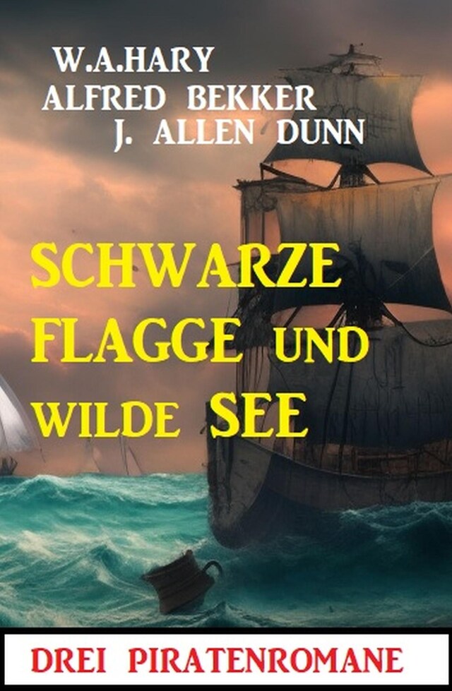 Book cover for Schwarze Flagge und wilde See: Drei Piratenromane