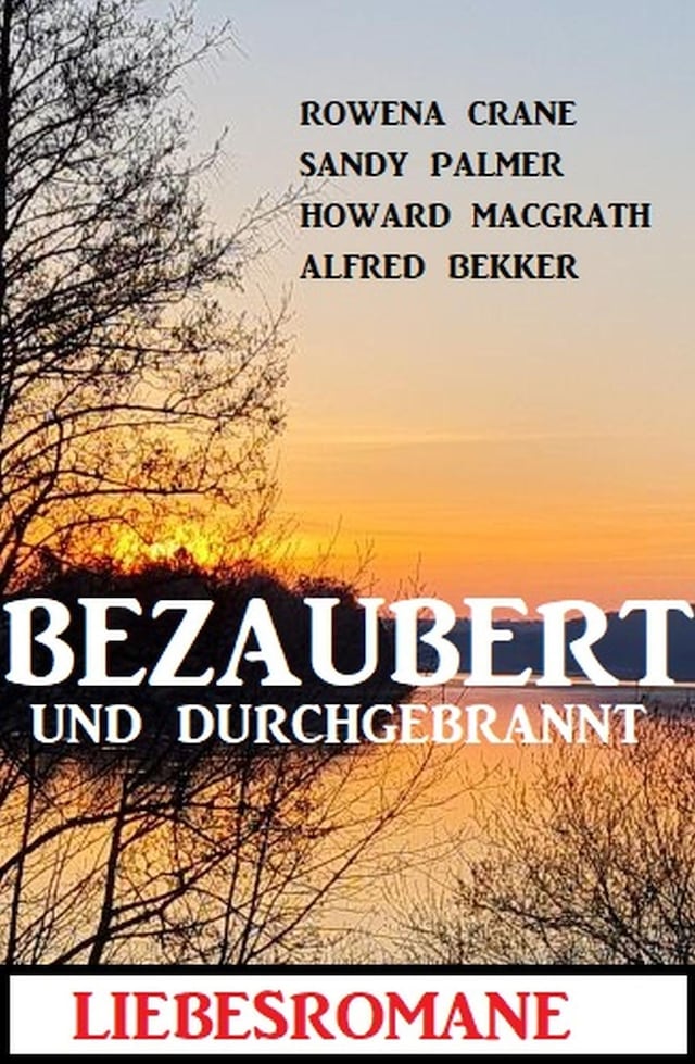 Book cover for Bezaubert und durchgebrannt: Liebesromane