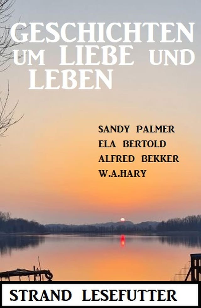 Portada de libro para Geschichten um Liebe und Leben: Strand Lesefutter