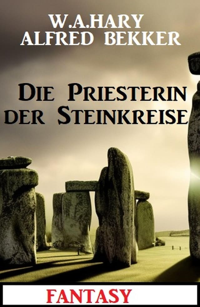 Bogomslag for Die Priesterin der Steinkreise: Fantasy