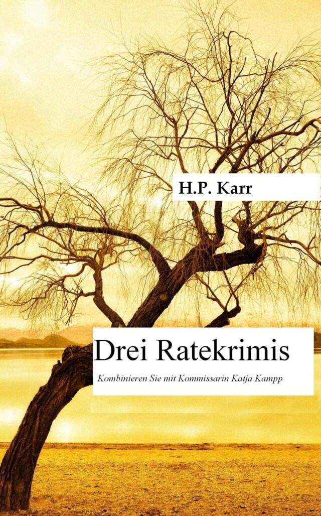 Copertina del libro per Drei Ratekrimis