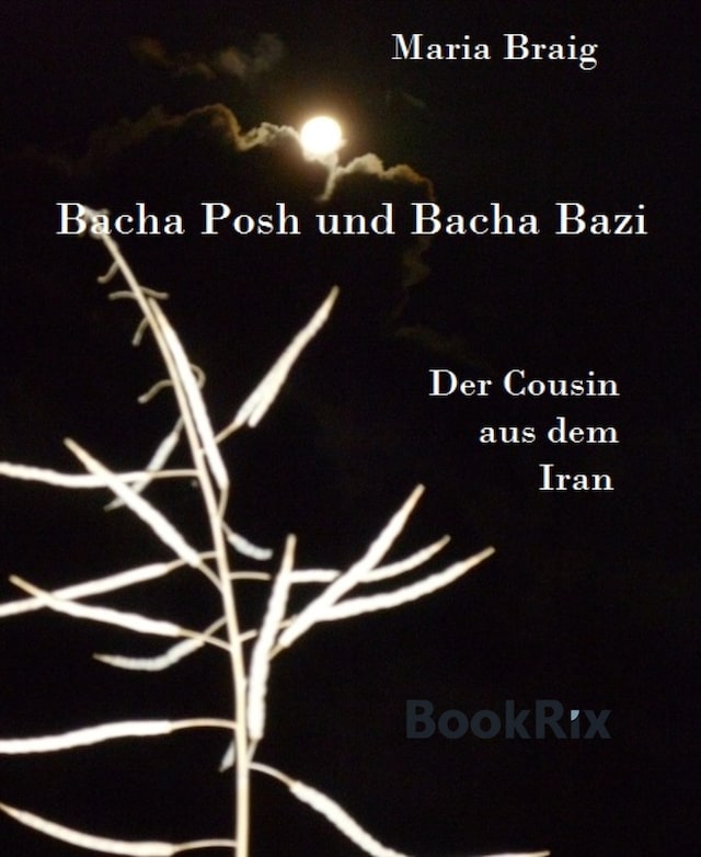 Portada de libro para Bacha Posh und Bacha Bazi