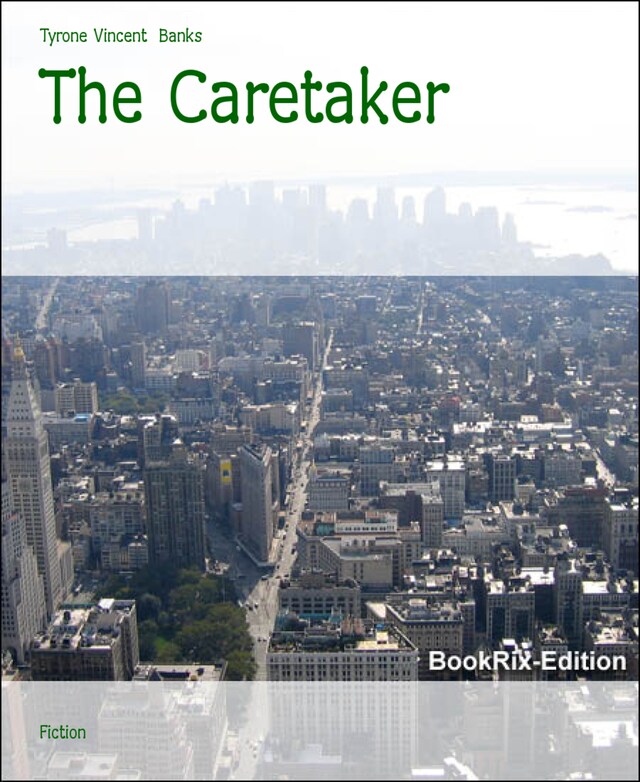 Book cover for The Caretaker