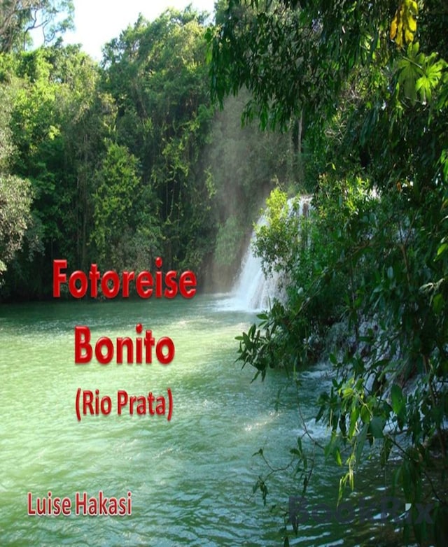 Book cover for Fotoreise Bonito