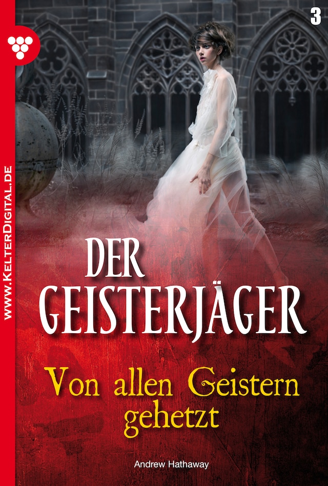 Book cover for Der Geisterjäger 3 – Gruselroman