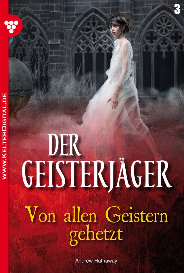 Buchcover für Der Geisterjäger 3 – Gruselroman