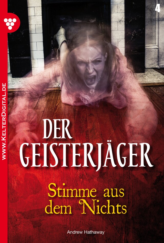 Boekomslag van Der Geisterjäger 4 – Gruselroman