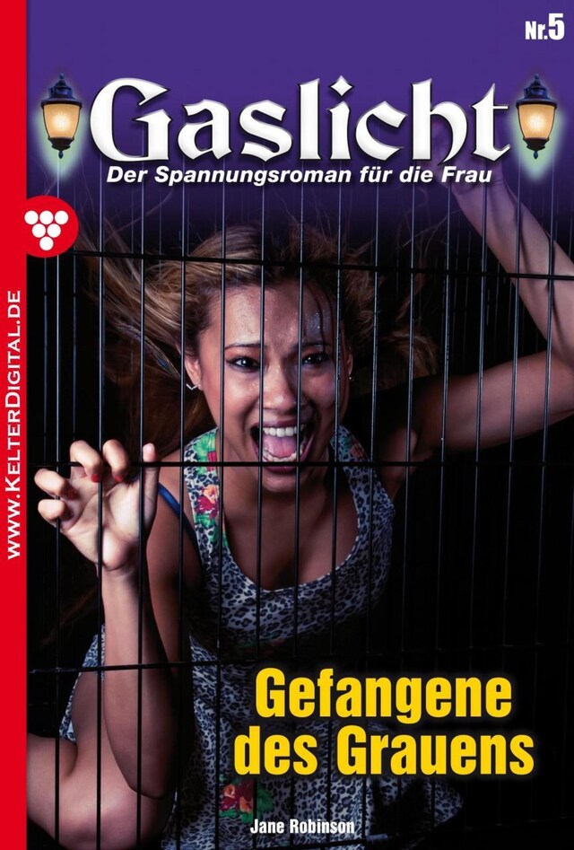 Book cover for Gaslicht 5