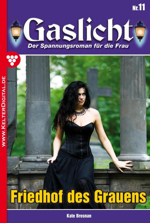 Book cover for Gaslicht 11