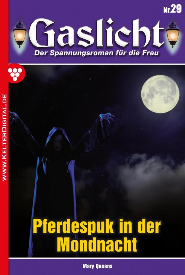 Buchcover für Gaslicht 29