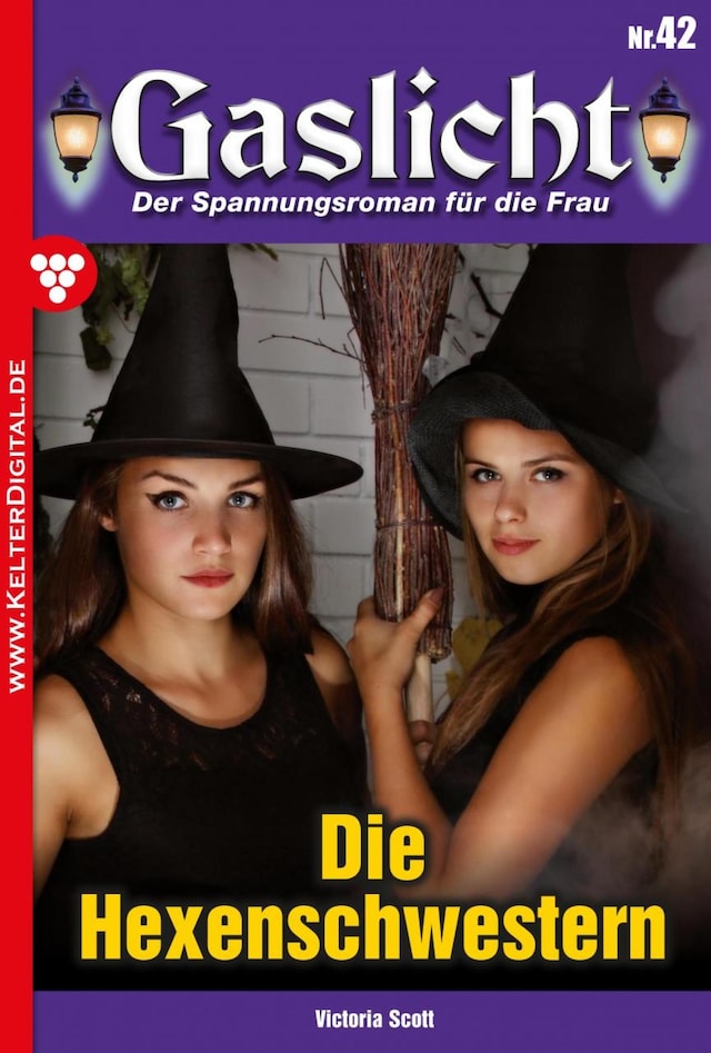Book cover for Die Hexenschwestern