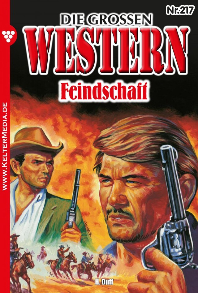 Book cover for Feindschaft