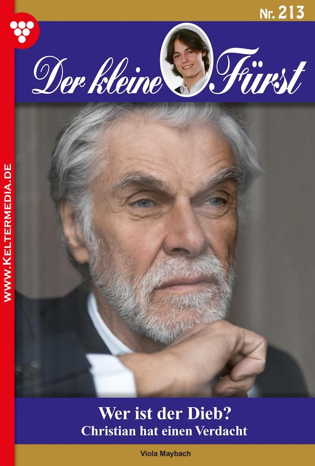 Book cover for Wer ist der Dieb?