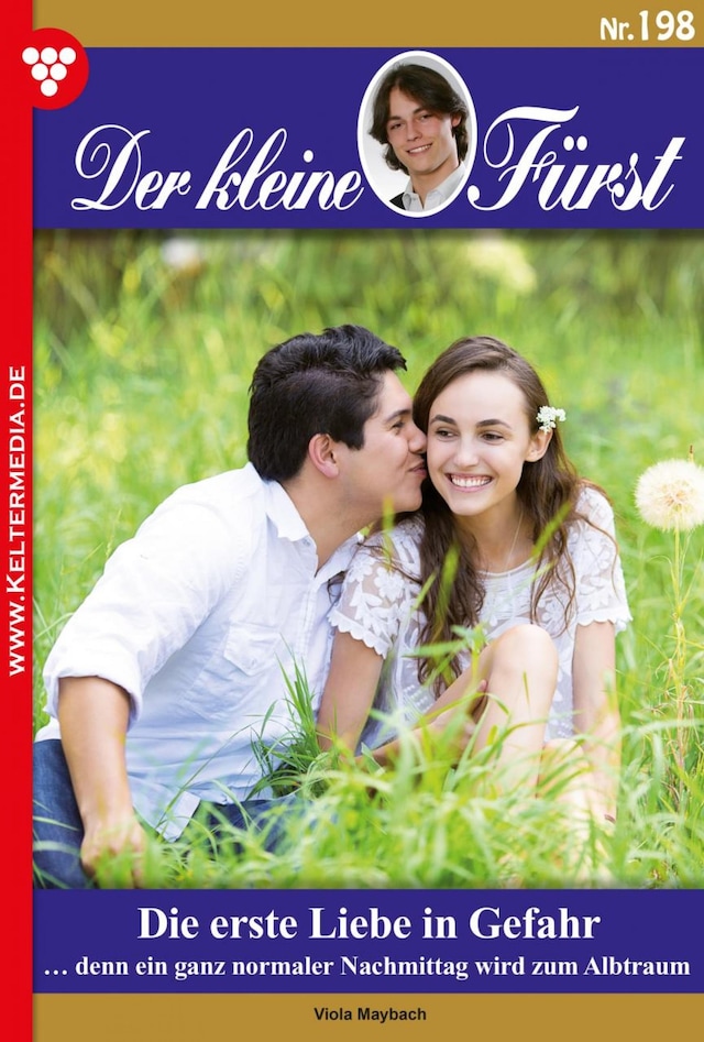 Book cover for Die erste Liebe in Gefahr