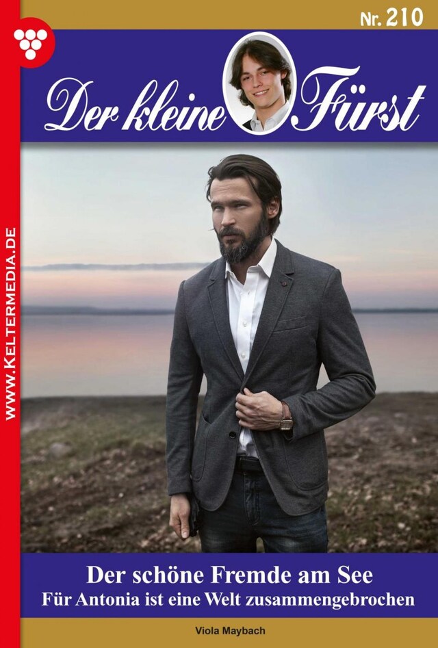 Portada de libro para Der schöne Fremde am See