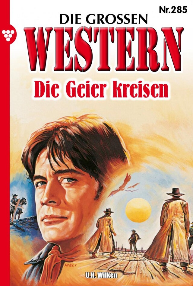 Copertina del libro per Die Geier kreisen