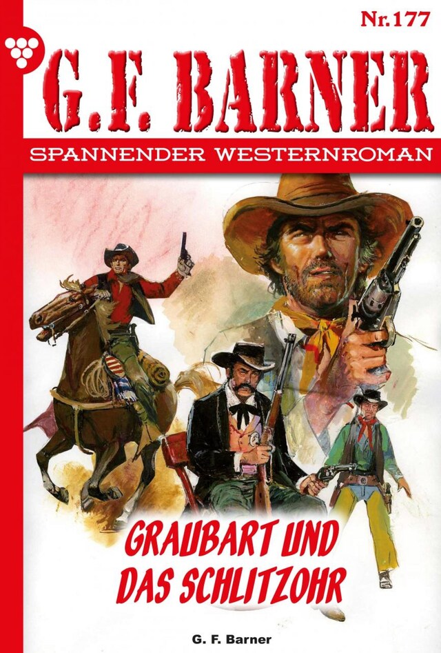 Book cover for Graubart und das Schlitzohr