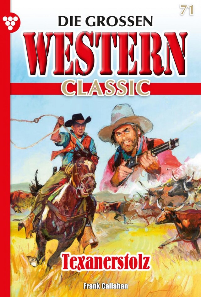 Buchcover für Texanerstolz